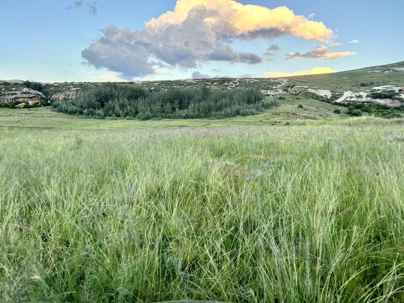 0 Bedroom Property for Sale in Fouriesburg Free State